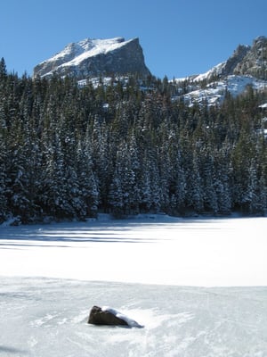 Colorado Wilderness Rides And Guides by null