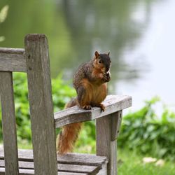 Omnis Pest Control
