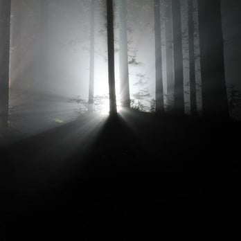 Little Giant Lighting & Grip - LG lit Tilden Park vampire shoot - Video/Film Production Near Me - Brisbane, California