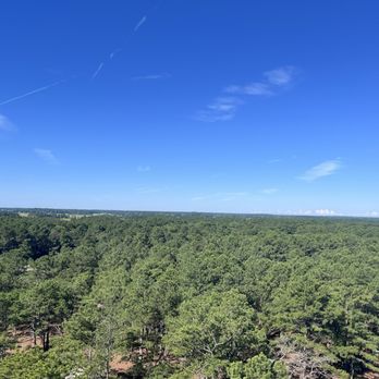 Cape Henlopen State Park - View from tower - Parks Near Me - Lewes, Delaware Cape Henlopen State Park - View from tower - Parks Near Me - Lewes, Delaware