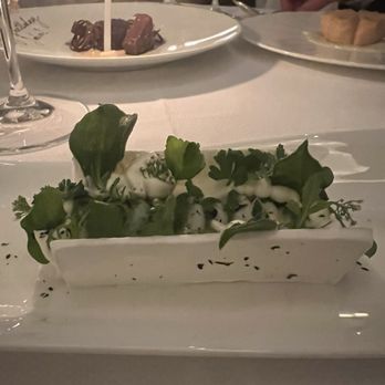 Daniel - Sudachi vacherin - French Near Me - New York, New York