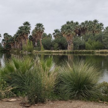 Agua Caliente Park - Parks Near Me - Tucson, Arizona