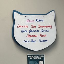 Northeast Animal Hospital