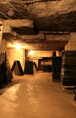 Cloître des Cordeliers by null