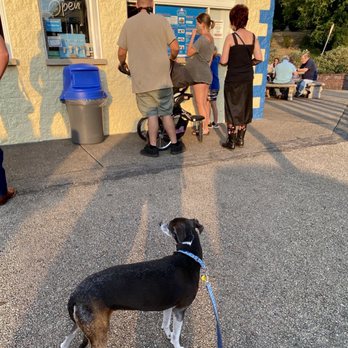 Antney's - My dog Isaac got a lot of attention in line at this dog-friendly spot. - Ice Cream & Frozen Yogurt Near Me - Pittsburgh, Pennsylvania