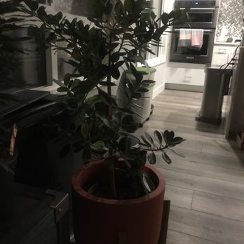 FLOWER WORLD - Updated December 2024 - 276 Photos & 201 Reviews - 9322