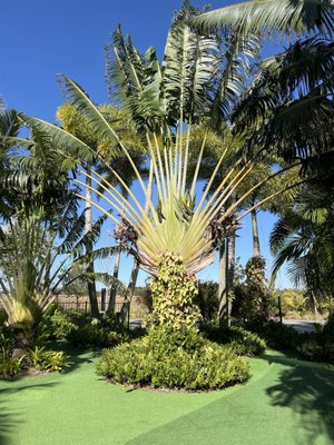 Lake Nona Sculpture Garden by null