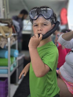 Kayaking Puerto Rico | Snorkeling & Bio Bay Tours by null