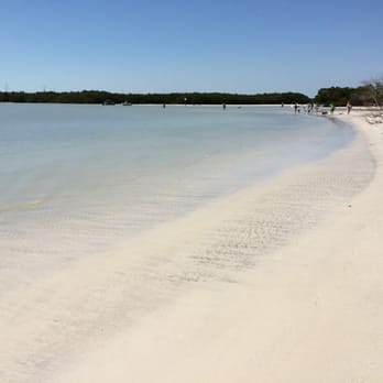 Dog Beach Park - Pristine beach - Dog Parks Near Me - Fort Myers, Florida Dog Beach Park - Pristine beach - Dog Parks Near Me - Fort Myers, Florida