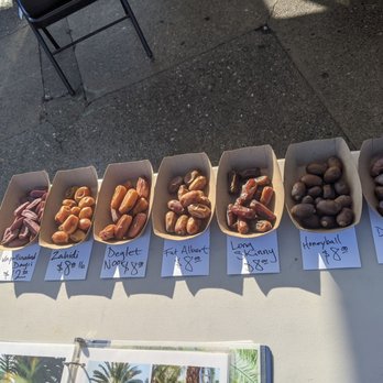 FLYING DISC RANCH - Updated January 2026 - 13 Photos & 10 Reviews ...