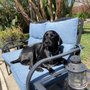 Photo of Reliable Pet Sitting