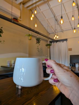 GOODONYA Organic Eatery by null