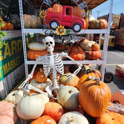Reardon's Fruit Market & Garden Center