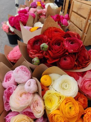 Hillsdale Farmers' Market by null