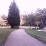 Photo of Carl von Weinberg Park
