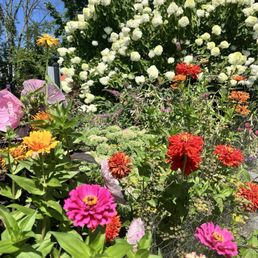 Flowers on your way in!