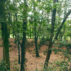 Fort Gorgast - Alte Schanzen der Feste