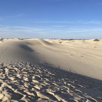 Monahans Sandhills State Park - Hiking Near Me - Monahans, Texas Monahans Sandhills State Park - Hiking Near Me - Monahans, Texas