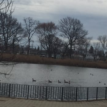 Brookville Park - Ducks in the Lake - Parks Near Me Brookville Park - Ducks in the Lake - Parks Near Me