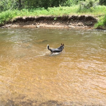 Lair o' the Bear Park - Hiking Near Me - Idledale, Colorado