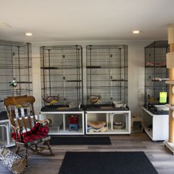 Cranberry Hill Cattery