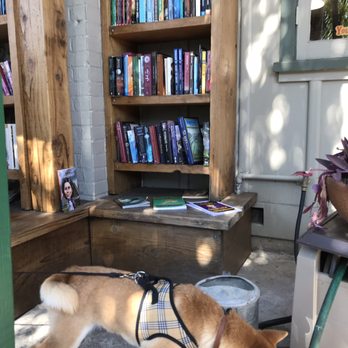 Bart's Books - My puppy losing interest... - Bookstores Near Me - Ojai, California Bart's Books - My puppy losing interest... - Bookstores Near Me - Ojai, California