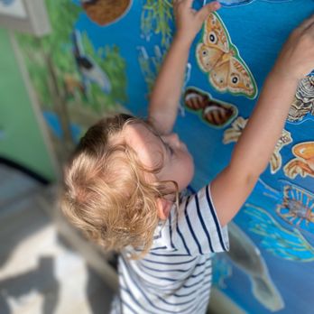 Environmental Learning Center - Play areas - Rafting/Kayaking Near Me - Vero Beach, Florida