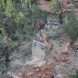 Palo Duro Creek Ranch