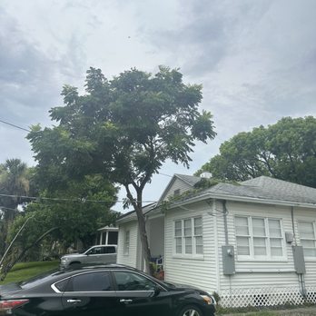 Cooper Cuts - Tree cutting - Irrigation Near Me