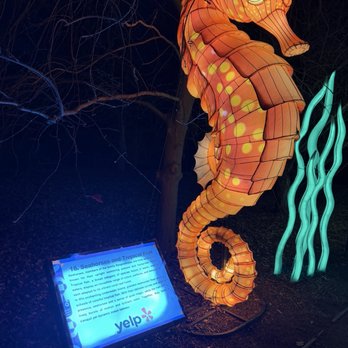 Elite Experience: Dragon Lights Reno - Yelp Events Near Me - Reno, Nevada