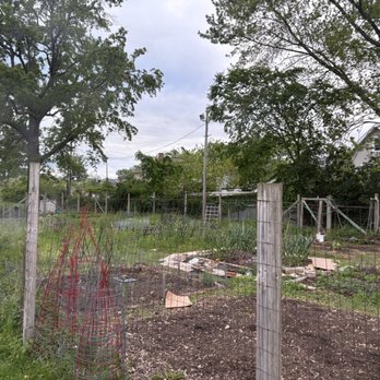 Kauffman Park - At Kauffman Park -- on Friday, 23 May 2025 - Parks Near Me - Lakewood, Ohio