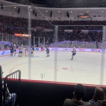 San Diego Gulls - Professional Sports Teams Near Me - San Diego, California San Diego Gulls - Professional Sports Teams Near Me - San Diego, California