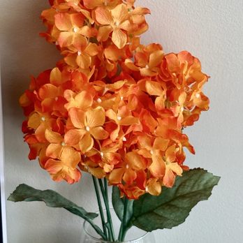 CinemaWest Beach Cities - March 28, 2026 | Saturday | Inside | Spotted more pretty flowers! - Cinema Near Me - El Segundo, California CinemaWest Beach Cities - March 28, 2026 | Saturday | Inside | Spotted more pretty flowers! - Cinema Near Me - El Segundo, California