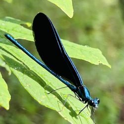 Sesquicentennial State Park