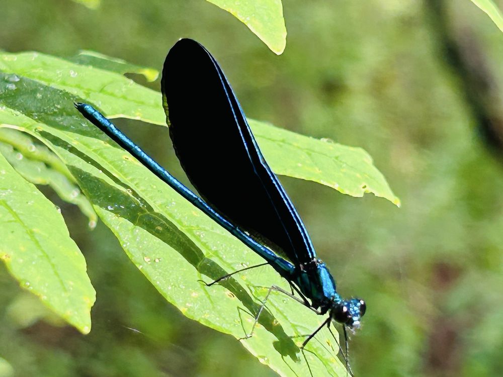Sesquicentennial State Park