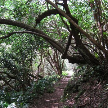 Kuli'ou'ou Valley Trail - Hiking Near Me - Honolulu, Hawaii Kuli'ou'ou Valley Trail - Hiking Near Me - Honolulu, Hawaii