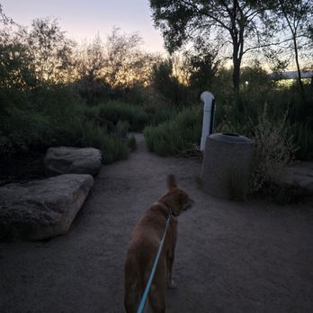 Riparian Preserve at Water Ranch - Parks Near Me - Gilbert, Arizona