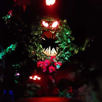 Haunted Mansion - Scary looking wreath! - Haunted Houses Near Me - Anaheim, California