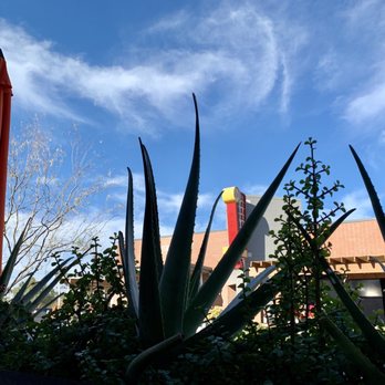 Elly's Brunch & Cafe - What a lovely morning...for outside - Breakfast & Brunch Near Me - Phoenix, Arizona Elly's Brunch & Cafe - What a lovely morning...for outside - Breakfast & Brunch Near Me - Phoenix, Arizona