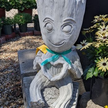 Plants & Planters - Plant shopping and greeted by this happy little Groot! - Nurseries & Gardening Near Me - Richardson, Texas Plants & Planters - Plant shopping and greeted by this happy little Groot! - Nurseries & Gardening Near Me - Richardson, Texas