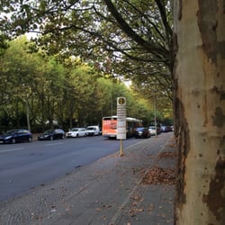 Haltestelle Wilhelmsruher Damm / Treuenbrietzener Str.