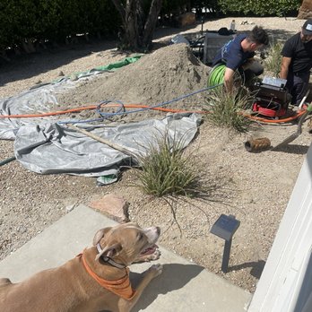 A-TEAM DRAINS - Pit bull was perfectly fine and even gave one of them a kiss. - Plumbing Near Me - desert hot springs, California A-TEAM DRAINS - Pit bull was perfectly fine and even gave one of them a kiss. - Plumbing Near Me - desert hot springs, California