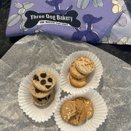 Treats and bandanna Treats and bandanna