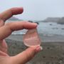 Photo of Seaside treasures