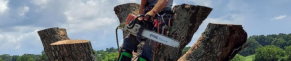 Hill Clan Tree Service - tree service in Springfield, MO
