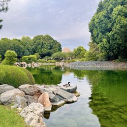 Lake view