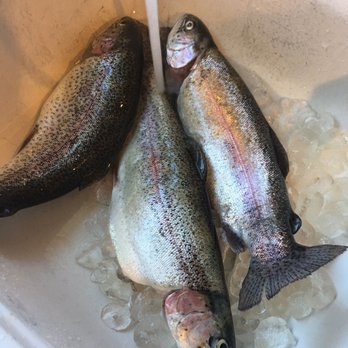 Fish Big Bear Charter Service - Fishing Near Me - Big Bear Lake, California