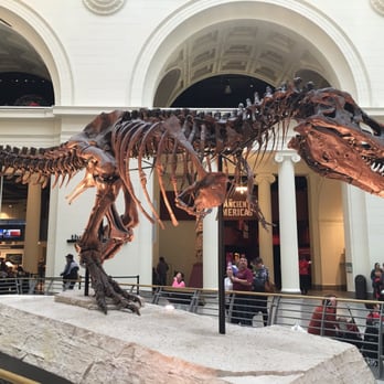 Field Museum - Sue - Museums Near Me - Chicago, Illinois Field Museum - Sue - Museums Near Me - Chicago, Illinois