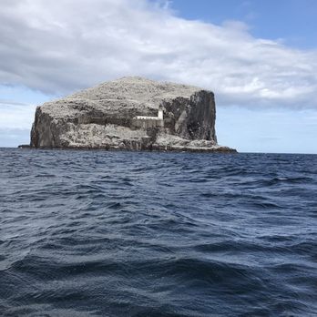 Scottish Seabird Centre - Pets Near Me - North Berwick, ELN