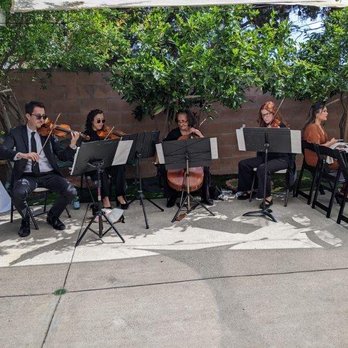 Put A String On It - Musicians Near Me